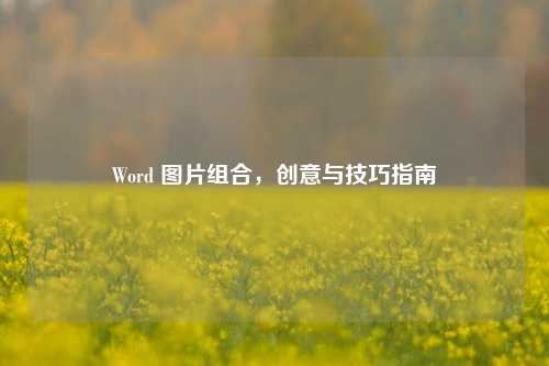 Word 图片组合，创意与技巧指南