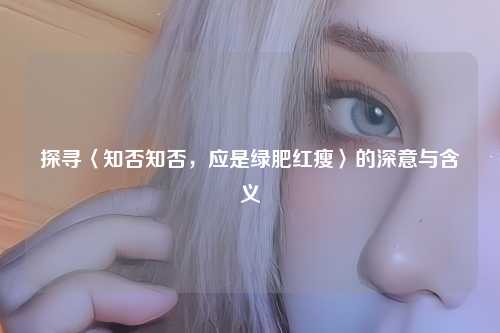 探寻〈知否知否，应是绿肥红瘦〉的深意与含义