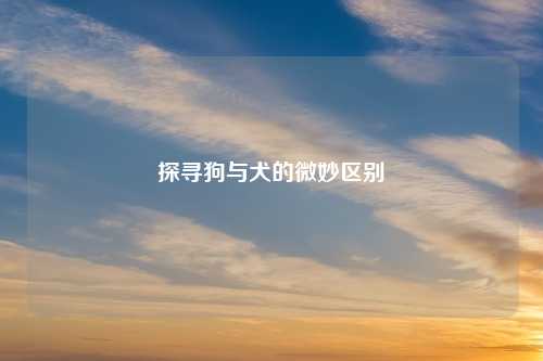 探寻狗与犬的微妙区别