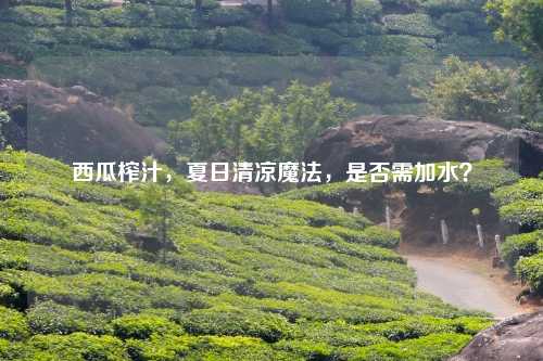 西瓜榨汁，夏日清凉魔法，是否需加水？