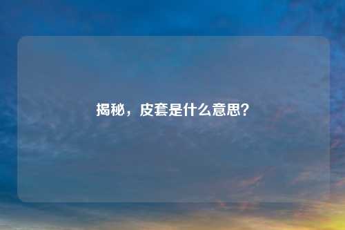 揭秘，皮套是什么意思？