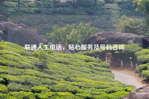 联通人工     ，贴心服务及号码咨询
