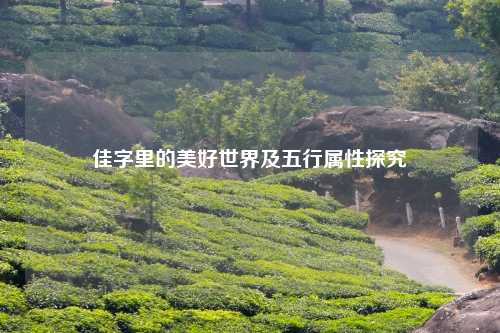 佳字里的美好世界及五行属性探究