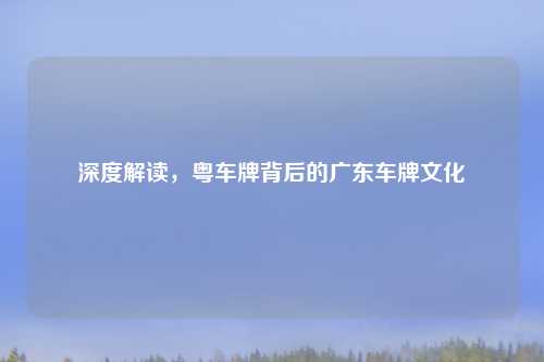 深度解读，粤车牌背后的广东车牌文化
