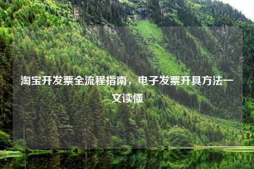      开发票全流程指南，电子发票开具     一文读懂