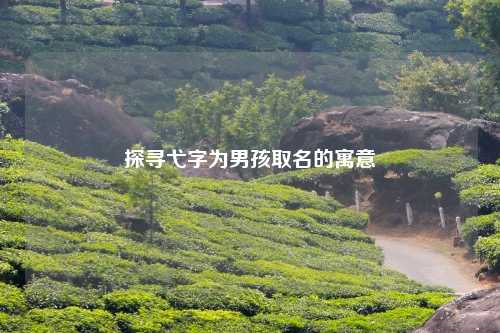 探寻弋字为男孩取名的寓意