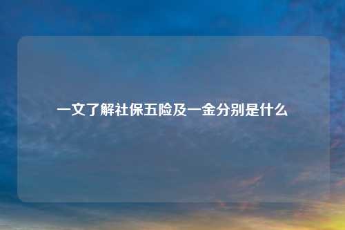 一文了解社保五险及一金分别是什么