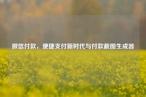 微信付款，便捷支付新时代与付款截图生成器