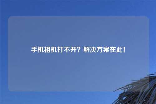 手机相机打不开？解决方案在此！