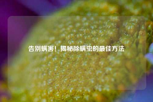 告别螨害！揭秘除螨虫的更佳     