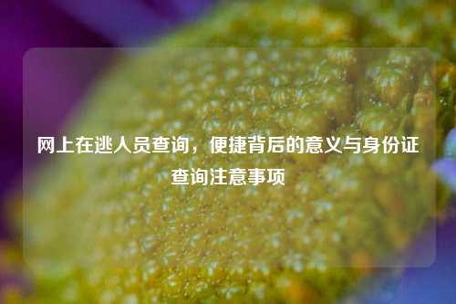 网上在逃人员查询，便捷背后的意义与身份证查询注意事项