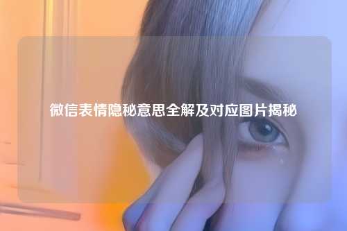 微信表情隐秘意思全解及对应图片揭秘