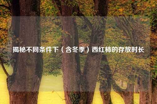 揭秘不同条件下（含冬季）西红柿的存放时长