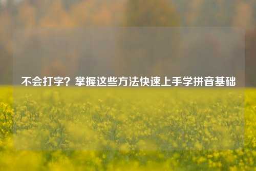 不会打字？掌握这些     快速上手学拼音基础