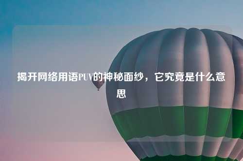 揭开     用语PUV的神秘面纱，它究竟是什么意思