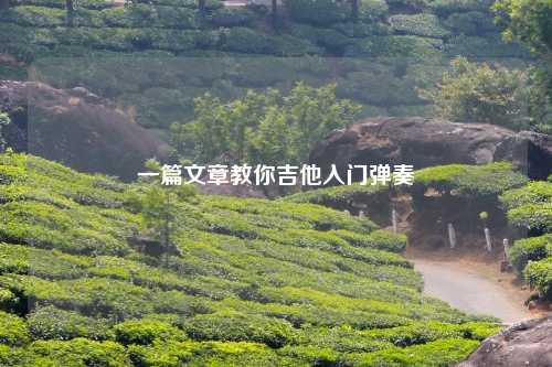 一篇文章教你吉他入门弹奏