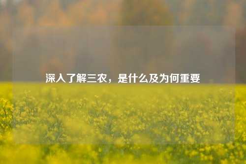 深入了解三农，是什么及为何重要
