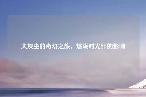 大灰尘的奇幻之旅，燃烧对光纤的影响