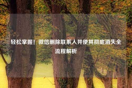 轻松掌握！微信删除联系人并使其彻底消失全流程解析