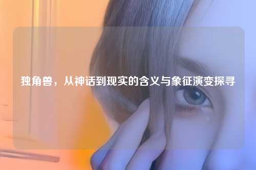 独角兽,从神话到现实的含义与象征演变探寻