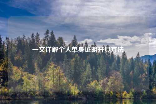 一文详解个人单身证明开具