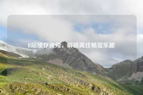 B站缓存视频,解锁离线畅览乐趣