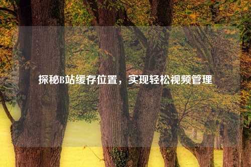 探秘B站缓存位置，实现轻松视频管理