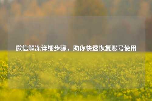 微信解冻详细步骤，助你快速恢复账号使用