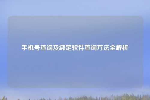 手机号查询及绑定软件查询     全解析