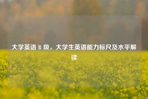 大学英语 B 级，大学生英语能力标尺及水平解读