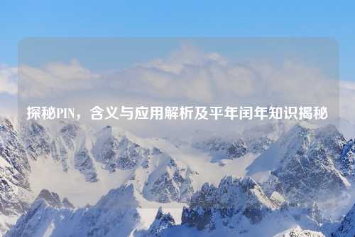 探秘PIN，含义与应用解析及平年闰年知识揭秘