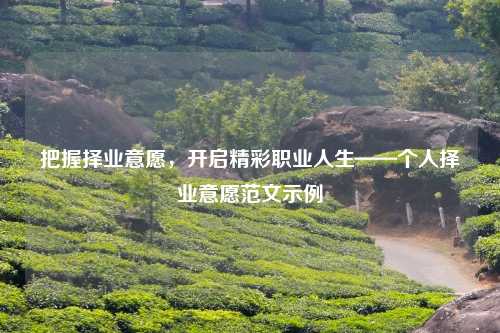 把握择业意愿，开启精彩职业人生——个人择业意愿范文示例