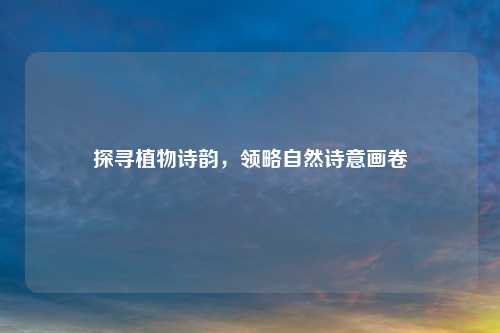 探寻植物诗韵，领略自然诗意画卷