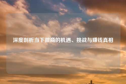深度剖析当下微商的机遇、挑战与赚钱真相