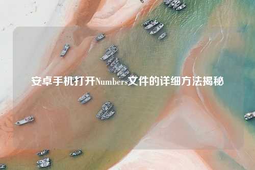 安卓手机打开Numbers文件的详细     揭秘